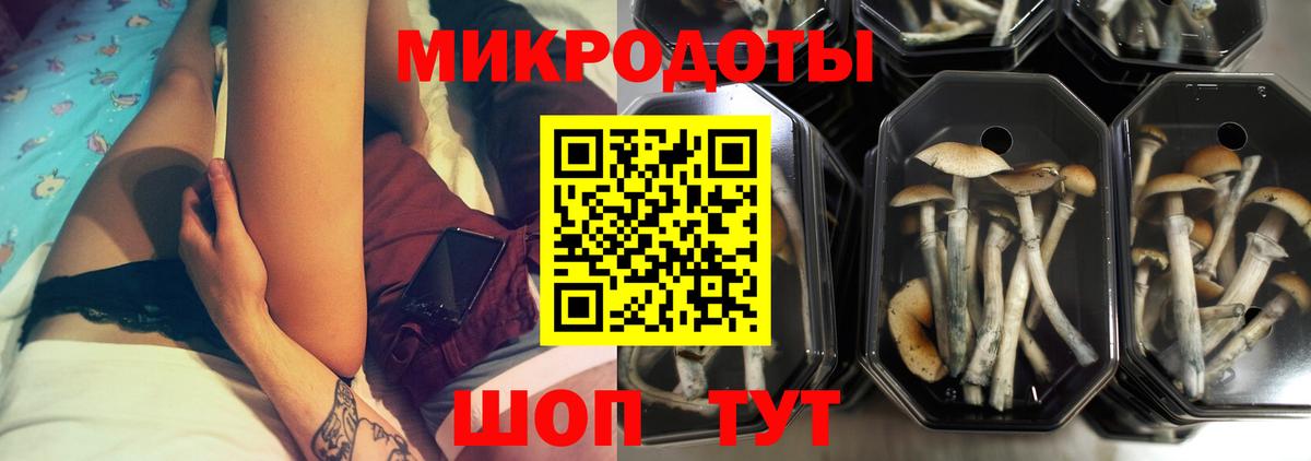 Галлюциногенные грибы мухоморы Баксан